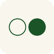 Reflection AI
